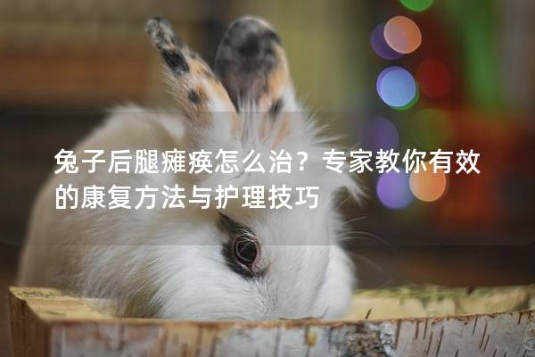 兔子后腿瘫痪怎么治？专家教你有效的康复方法与护理技巧