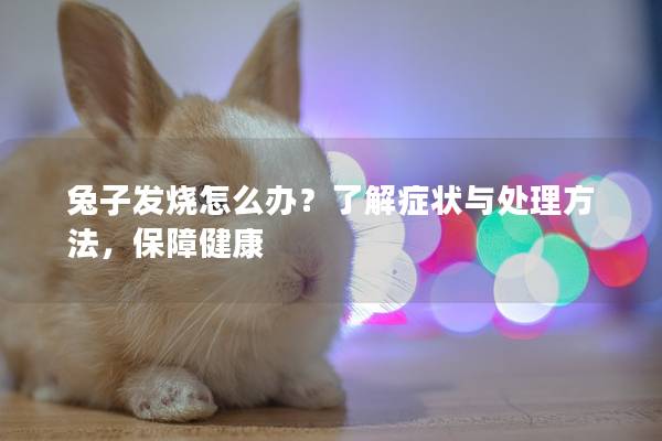 兔子发烧怎么办？了解症状与处理方法，保障健康