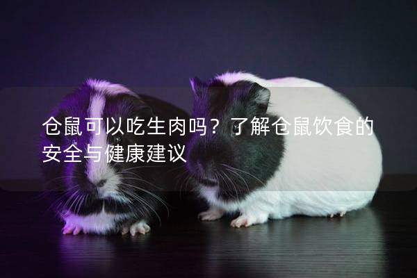 仓鼠可以吃生肉吗？了解仓鼠饮食的安全与健康建议
