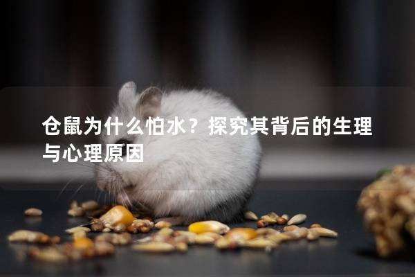 仓鼠为什么怕水？探究其背后的生理与心理原因