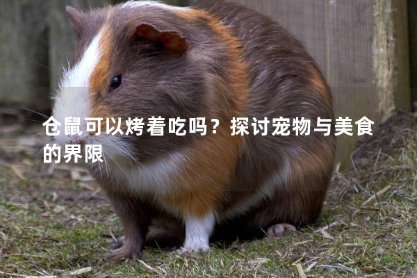 仓鼠可以烤着吃吗？探讨宠物与美食的界限