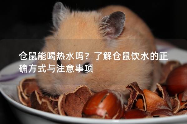 仓鼠能喝热水吗？了解仓鼠饮水的正确方式与注意事项