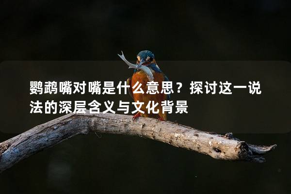 鹦鹉嘴对嘴是什么意思？探讨这一说法的深层含义与文化背景