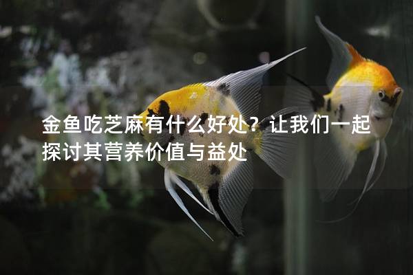 金鱼吃芝麻有什么好处？让我们一起探讨其营养价值与益处