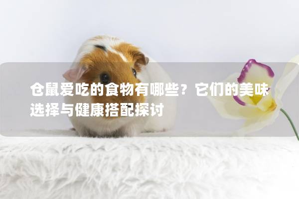 仓鼠爱吃的食物有哪些？它们的美味选择与健康搭配探讨