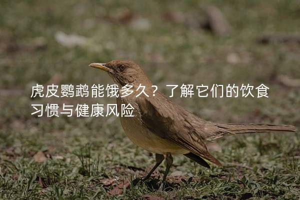 虎皮鹦鹉能饿多久？了解它们的饮食习惯与健康风险