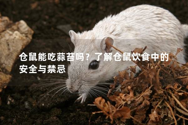 仓鼠能吃蒜苔吗？了解仓鼠饮食中的安全与禁忌