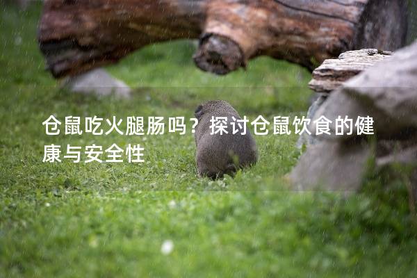 仓鼠吃火腿肠吗？探讨仓鼠饮食的健康与安全性