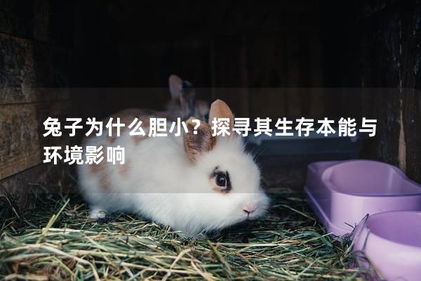兔子为什么胆小？探寻其生存本能与环境影响