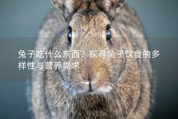 兔子吃什么东西？探寻兔子饮食的多样性与营养需求