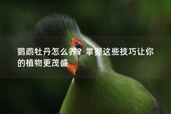 鹦鹉牡丹怎么养？掌握这些技巧让你的植物更茂盛