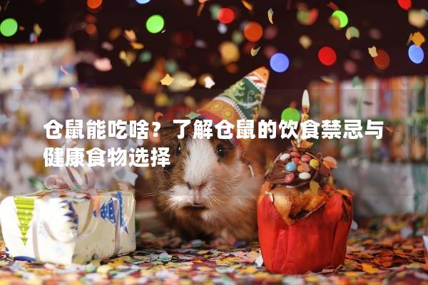 仓鼠能吃啥？了解仓鼠的饮食禁忌与健康食物选择