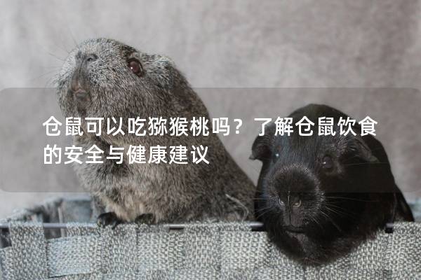 仓鼠可以吃猕猴桃吗？了解仓鼠饮食的安全与健康建议