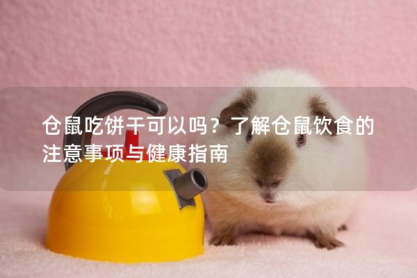 仓鼠吃饼干可以吗？了解仓鼠饮食的注意事项与健康指南
