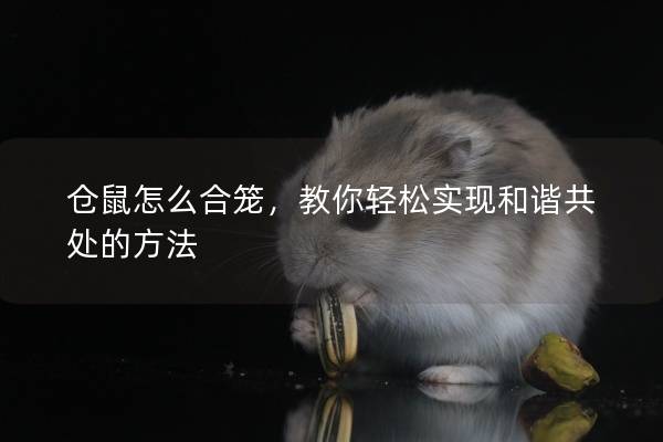 仓鼠怎么合笼，教你轻松实现和谐共处的方法