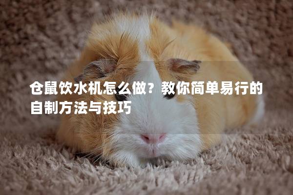 仓鼠饮水机怎么做？教你简单易行的自制方法与技巧