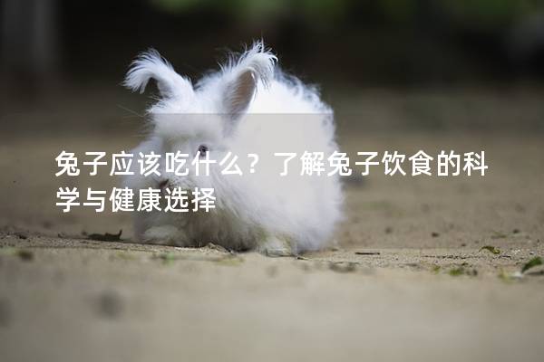 兔子应该吃什么？了解兔子饮食的科学与健康选择
