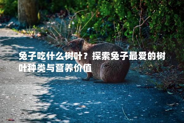 兔子吃什么树叶？探索兔子最爱的树叶种类与营养价值