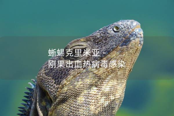 蜥蜴克里米亚 - 刚果出血热病毒感染