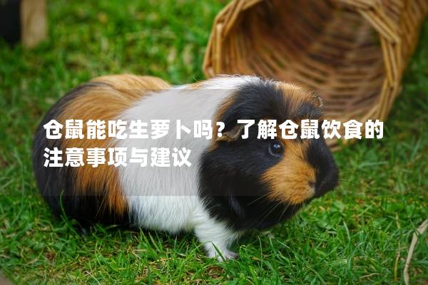 仓鼠能吃生萝卜吗？了解仓鼠饮食的注意事项与建议