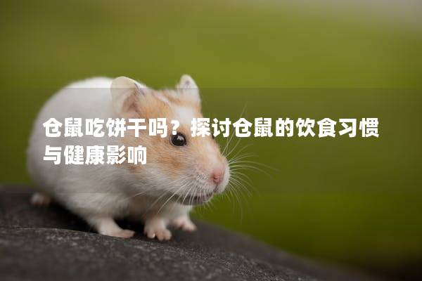 仓鼠吃饼干吗？探讨仓鼠的饮食习惯与健康影响