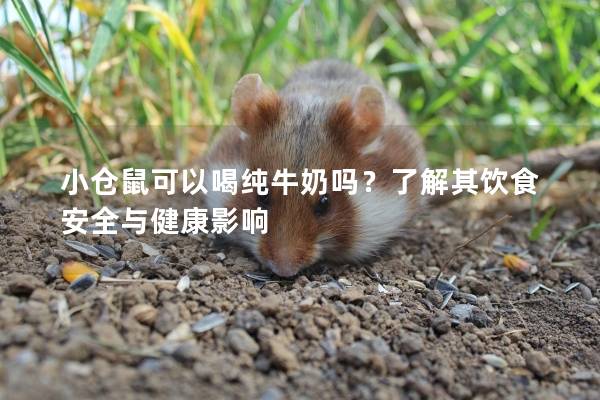 小仓鼠可以喝纯牛奶吗？了解其饮食安全与健康影响
