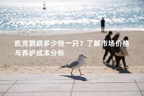凯克鹦鹉多少钱一只？了解市场价格与养护成本分析