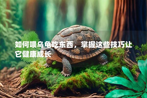 如何喂乌龟吃东西，掌握这些技巧让它健康成长