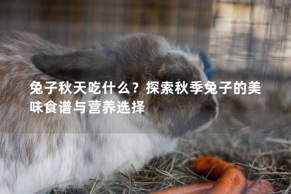 兔子秋天吃什么？探索秋季兔子的美味食谱与营养选择