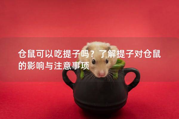 仓鼠可以吃提子吗？了解提子对仓鼠的影响与注意事项