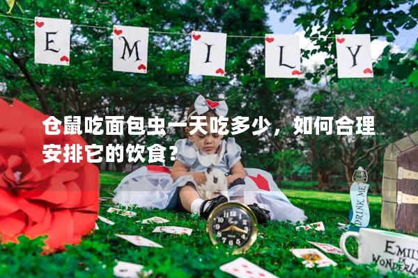 仓鼠吃面包虫一天吃多少，如何合理安排它的饮食？