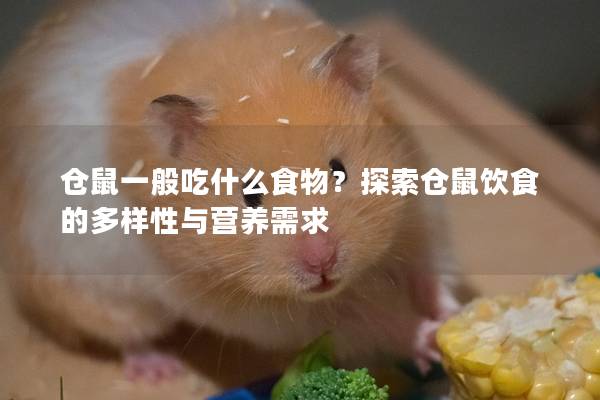 仓鼠一般吃什么食物？探索仓鼠饮食的多样性与营养需求