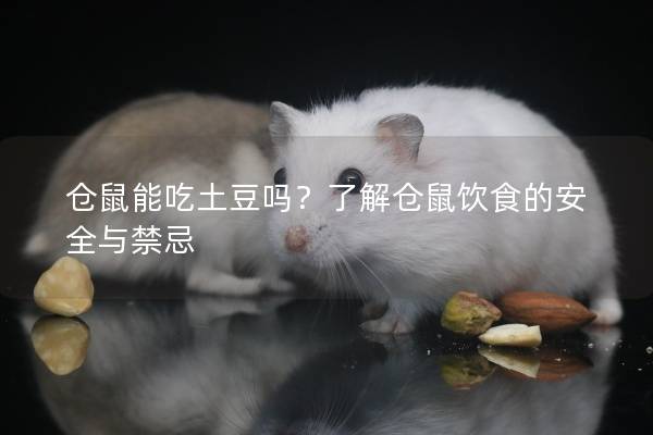 仓鼠能吃土豆吗？了解仓鼠饮食的安全与禁忌
