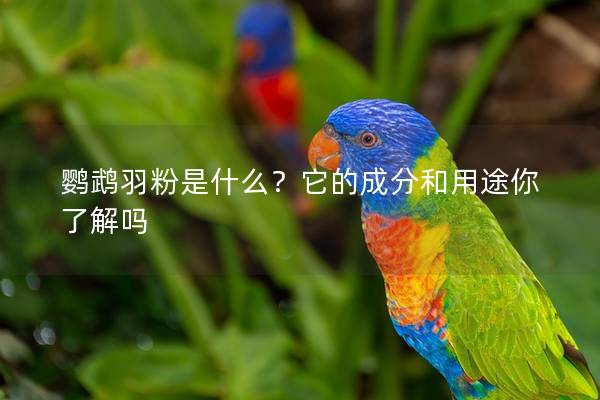 鹦鹉羽粉是什么？它的成分和用途你了解吗