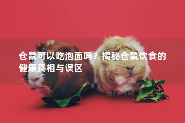 仓鼠可以吃泡面吗？揭秘仓鼠饮食的健康真相与误区