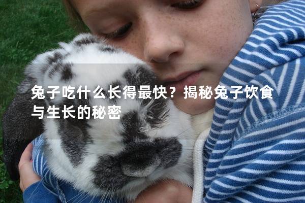 兔子吃什么长得最快？揭秘兔子饮食与生长的秘密