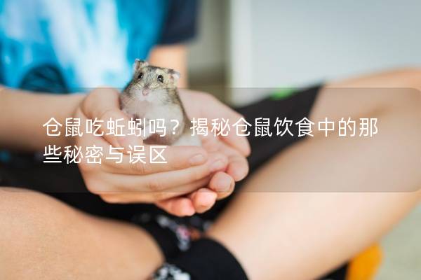 仓鼠吃蚯蚓吗？揭秘仓鼠饮食中的那些秘密与误区