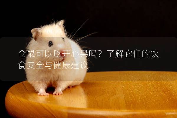 仓鼠可以吃开心果吗？了解它们的饮食安全与健康建议