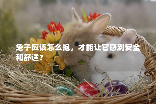 兔子应该怎么抱，才能让它感到安全和舒适？