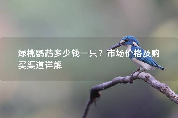 绿桃鹦鹉多少钱一只？市场价格及购买渠道详解
