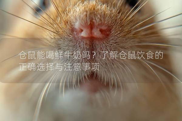 仓鼠能喝鲜牛奶吗？了解仓鼠饮食的正确选择与注意事项