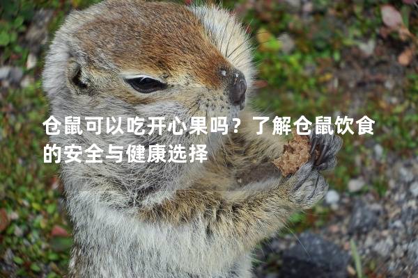 仓鼠可以吃开心果吗？了解仓鼠饮食的安全与健康选择