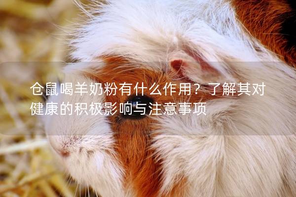 仓鼠喝羊奶粉有什么作用？了解其对健康的积极影响与注意事项