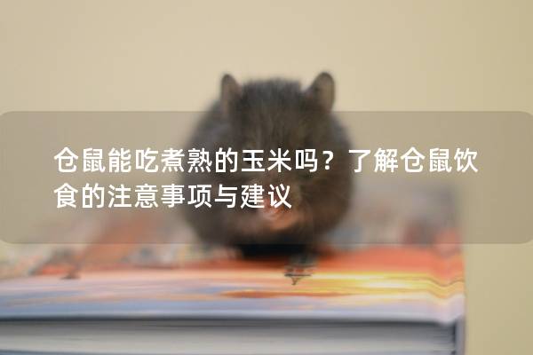 仓鼠能吃煮熟的玉米吗？了解仓鼠饮食的注意事项与建议