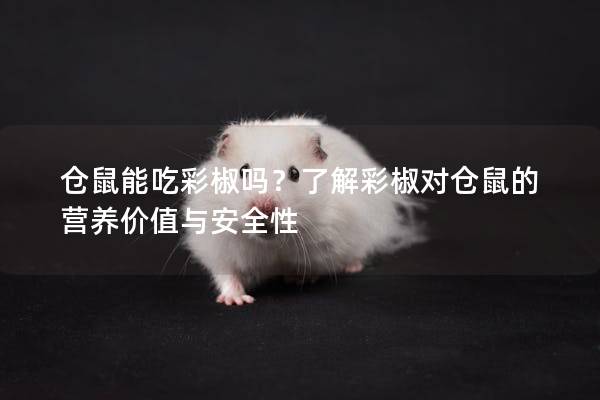 仓鼠能吃彩椒吗？了解彩椒对仓鼠的营养价值与安全性