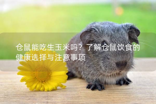 仓鼠能吃生玉米吗？了解仓鼠饮食的健康选择与注意事项