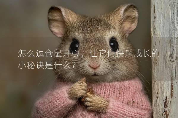 怎么逗仓鼠开心，让它们快乐成长的小秘诀是什么？