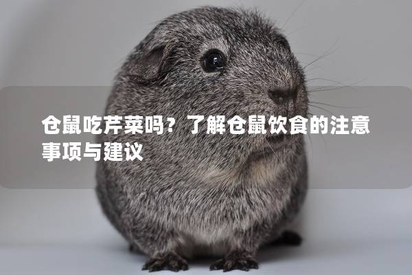 仓鼠吃芹菜吗？了解仓鼠饮食的注意事项与建议