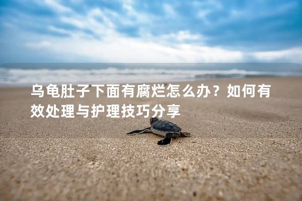 乌龟肚子下面有腐烂怎么办？如何有效处理与护理技巧分享