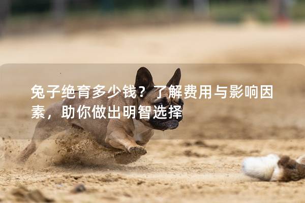 兔子绝育多少钱？了解费用与影响因素，助你做出明智选择